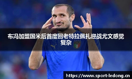 ld乐动体育