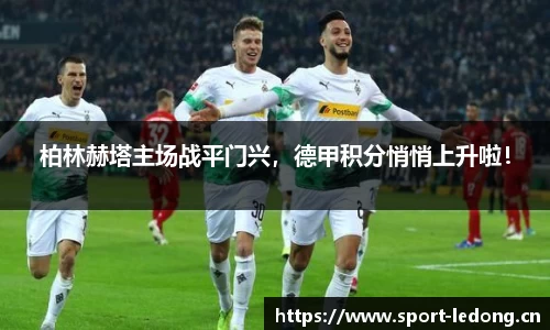 ld乐动体育官网