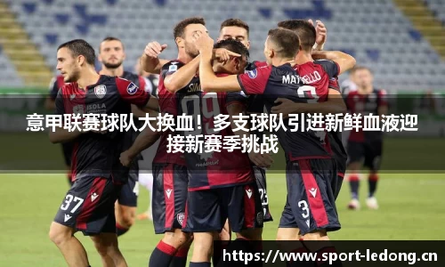 意甲联赛球队大换血！多支球队引进新鲜血液迎接新赛季挑战