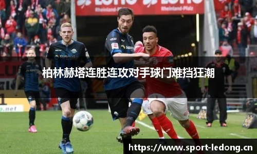 ld乐动体育平台