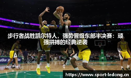 ld乐动体育平台