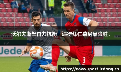 ld乐动体育