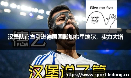 ld乐动体育官方网站