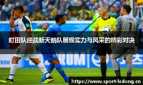 ld乐动体育