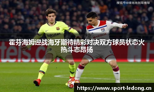 霍芬海姆迎战海牙期待精彩对决双方球员状态火热斗志昂扬