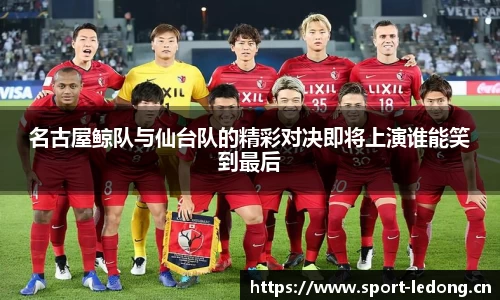 ld乐动体育官网